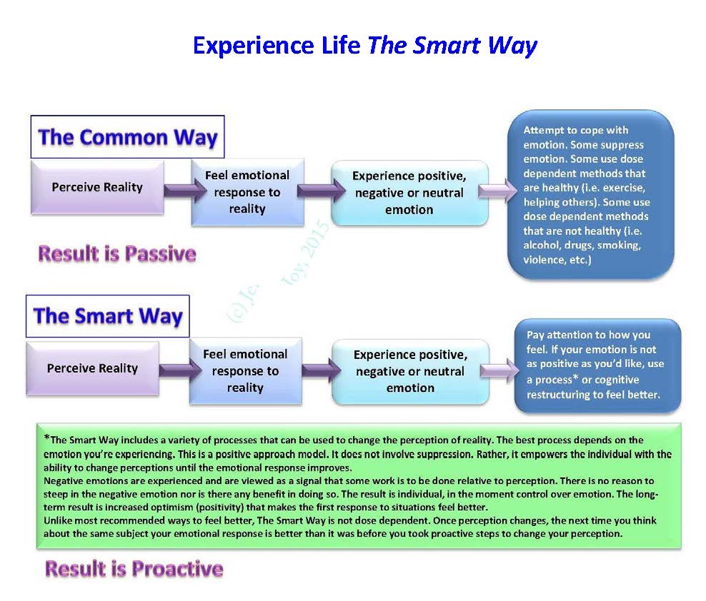 Experience Life The Smart Way